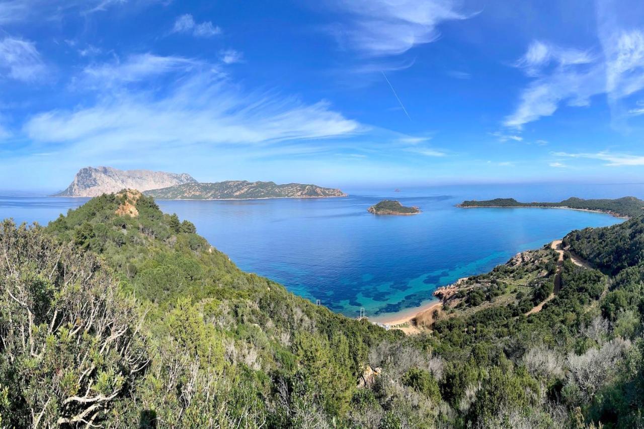 San Teodoro Punta Est Curatissimo Bilocale Lägenhet Capo Coda Cavallo Exteriör bild