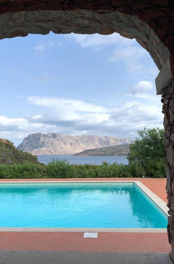 San Teodoro Punta Est Curatissimo Bilocale Lägenhet Capo Coda Cavallo Exteriör bild