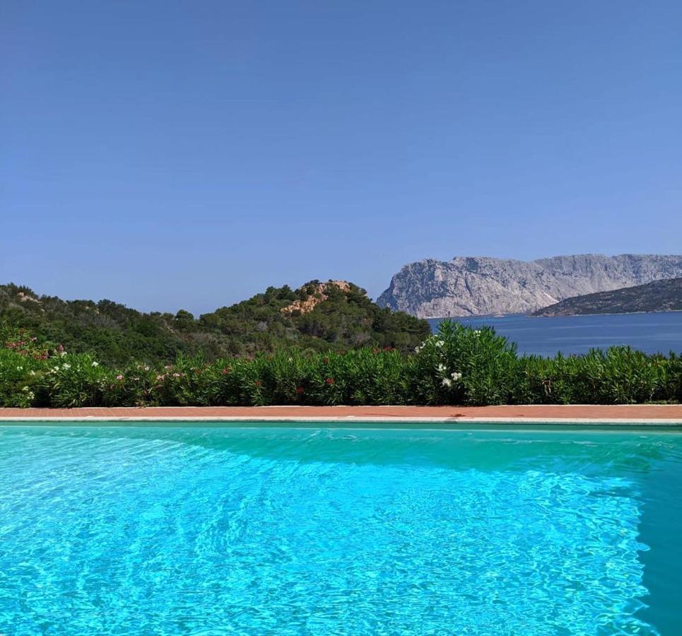 San Teodoro Punta Est Curatissimo Bilocale Lägenhet Capo Coda Cavallo Exteriör bild