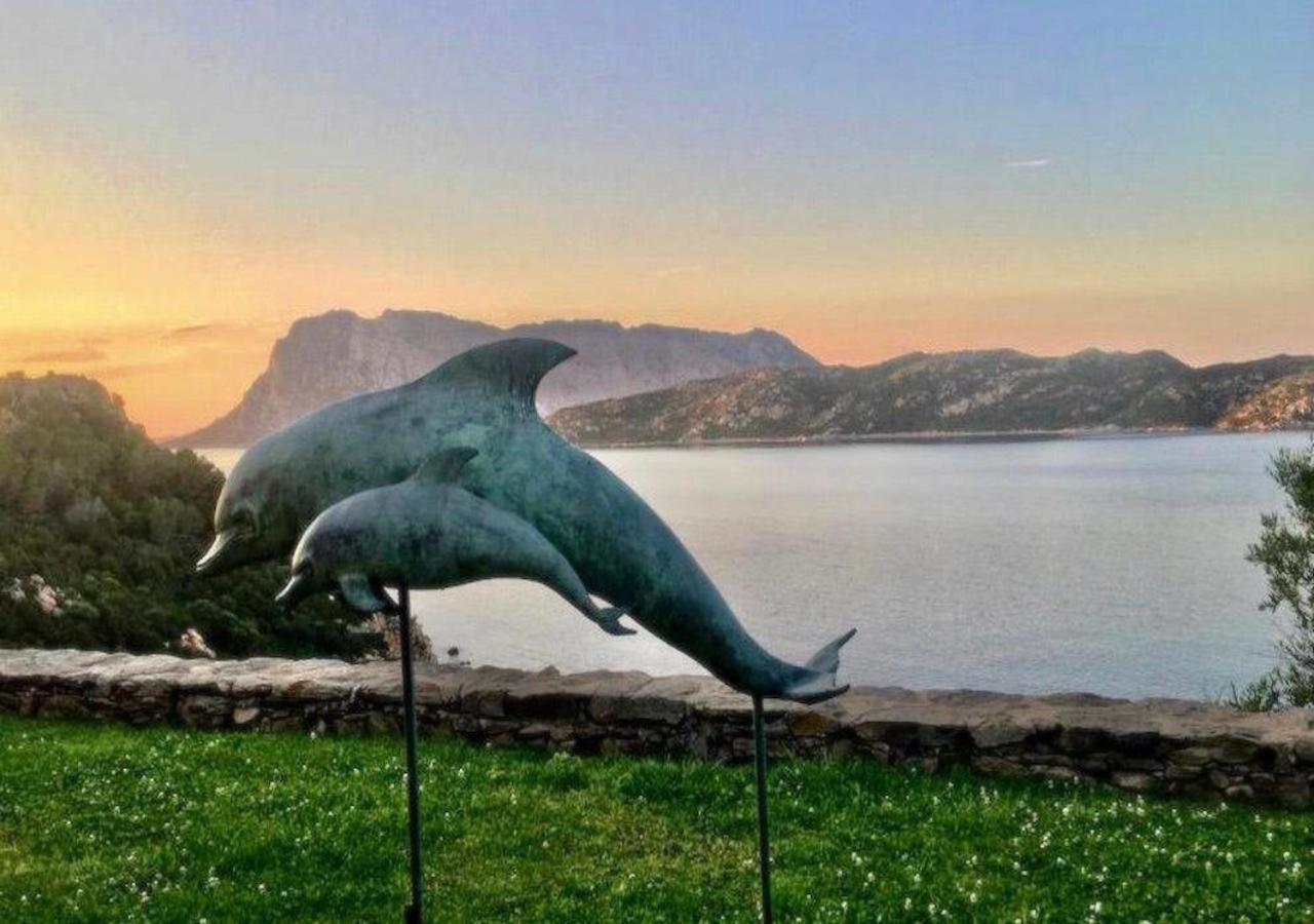 San Teodoro Punta Est Curatissimo Bilocale Lägenhet Capo Coda Cavallo Exteriör bild
