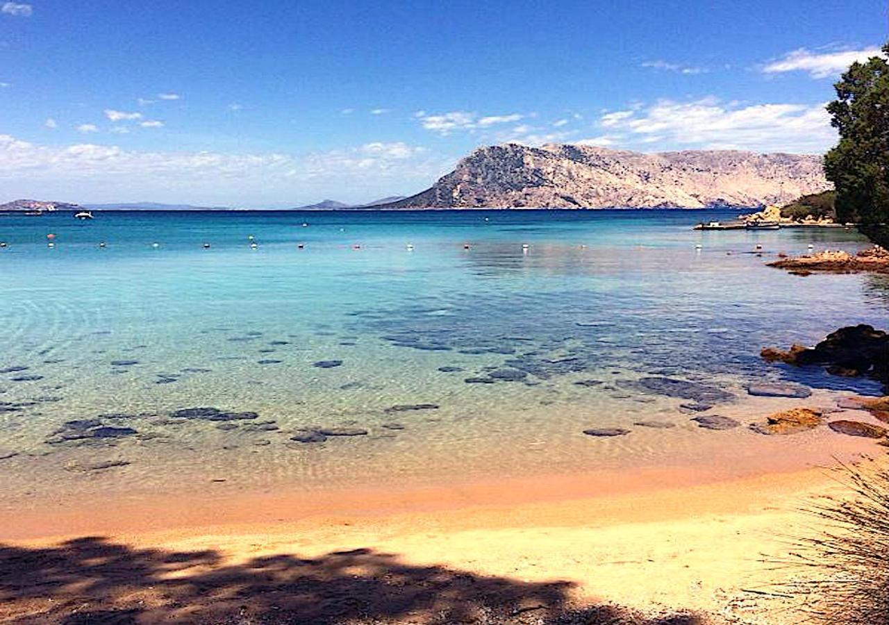 San Teodoro Punta Est Curatissimo Bilocale Lägenhet Capo Coda Cavallo Exteriör bild