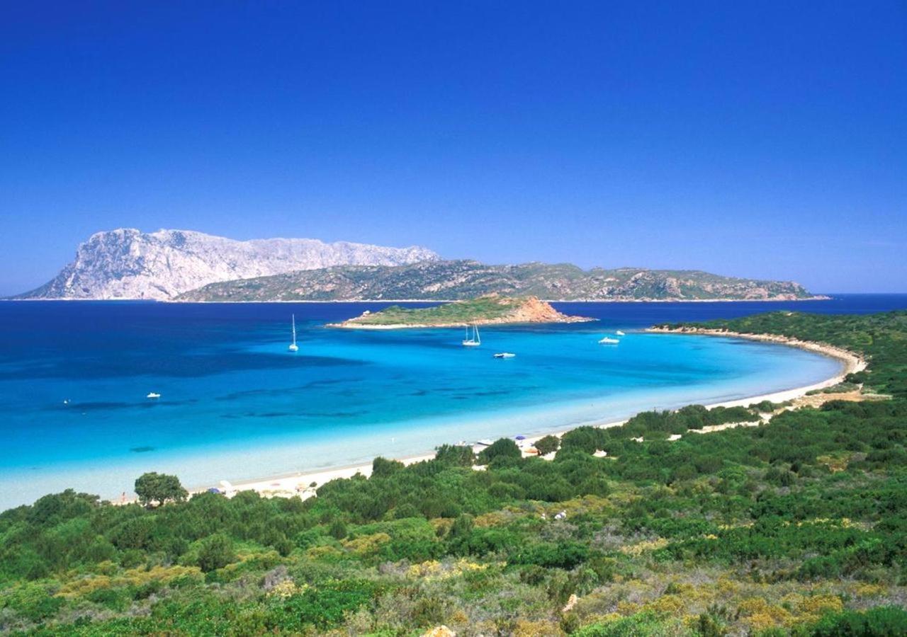 San Teodoro Punta Est Curatissimo Bilocale Lägenhet Capo Coda Cavallo Exteriör bild