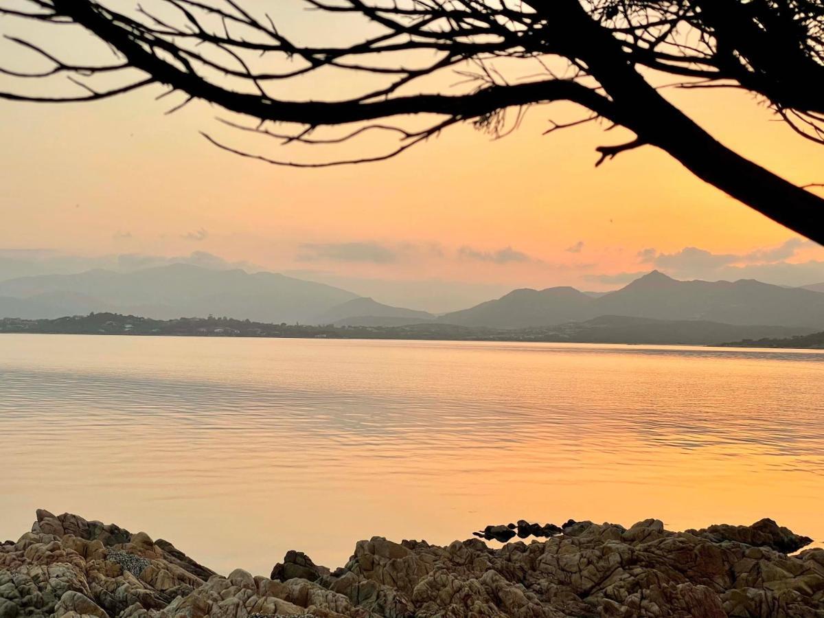 San Teodoro Punta Est Curatissimo Bilocale Lägenhet Capo Coda Cavallo Exteriör bild