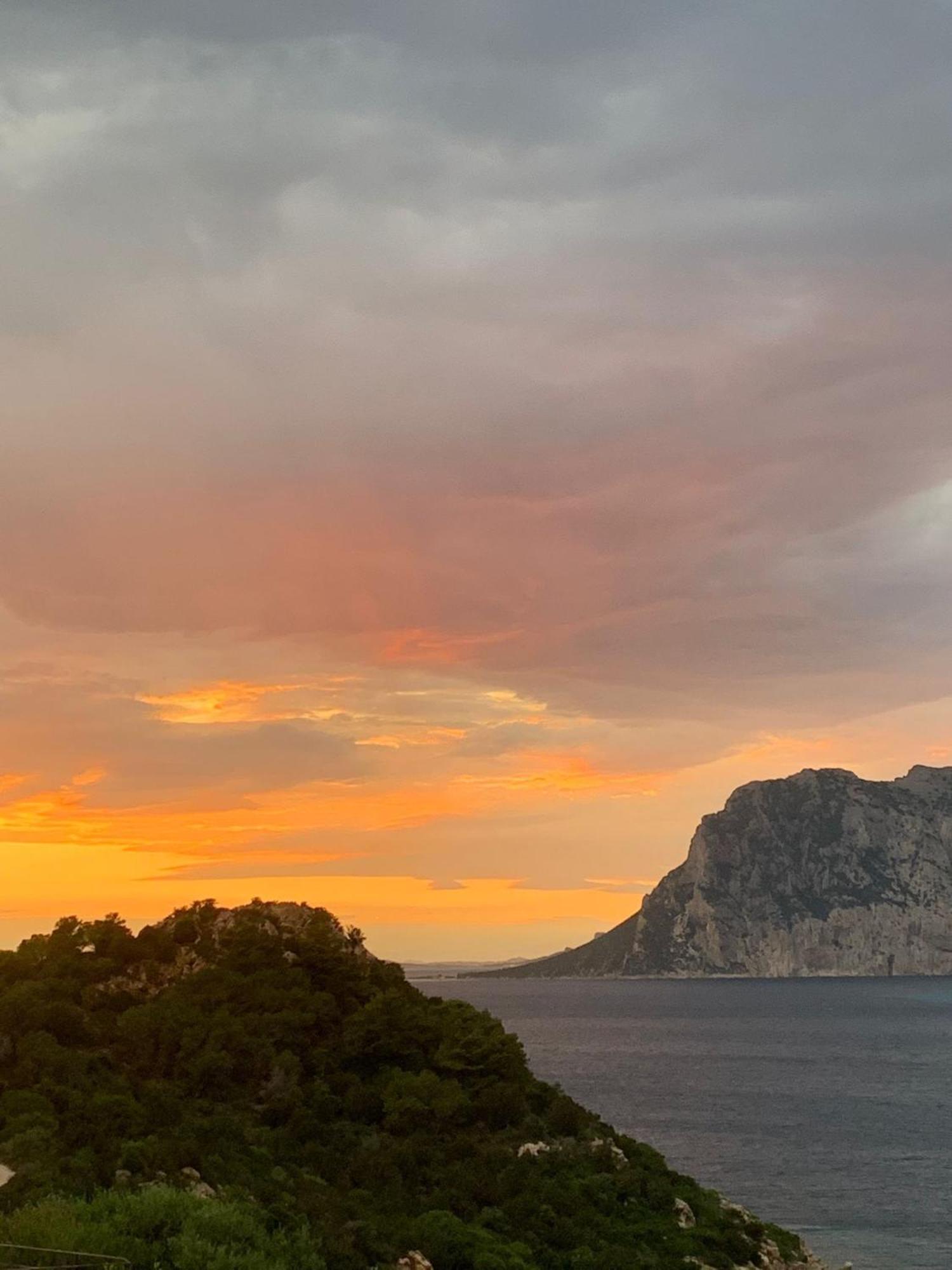 San Teodoro Punta Est Curatissimo Bilocale Lägenhet Capo Coda Cavallo Exteriör bild